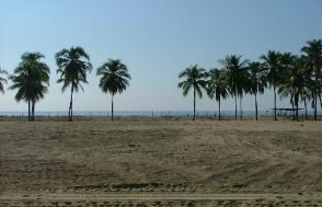 picture a house amongst the palms