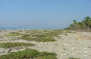 a beautiful white sandy beach